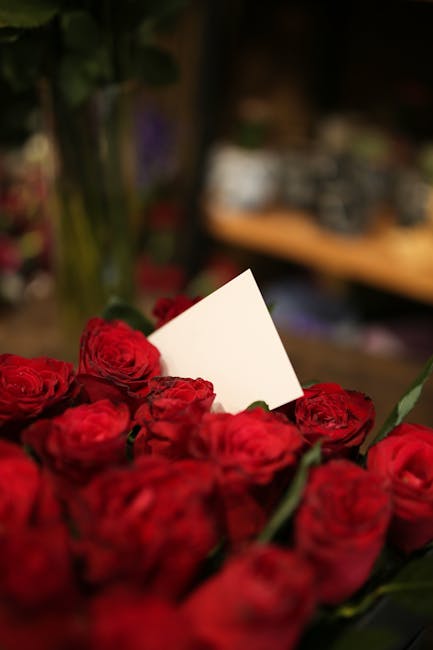 A close-up view of a bouquet of fresh red roses with tightly layered petals, arranged in a dense cluster. The roses are wrapped in clear cellophane and are placed on a surface, possibly on a table or 