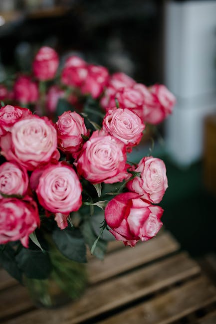 A vibrant bouquet of pink and white roses with layered, ruffled petals arranged in a glass vase. The roses are fresh, with green stems and leaves visible beneath the blossoms. The arrangement is posit
